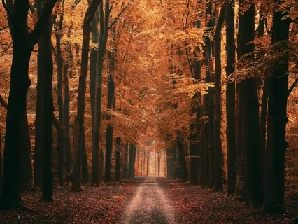 555Hz Open Up To Positivity And Opportunities