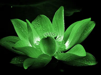 594Hz Heart Chakra Healing Music - Vol.2