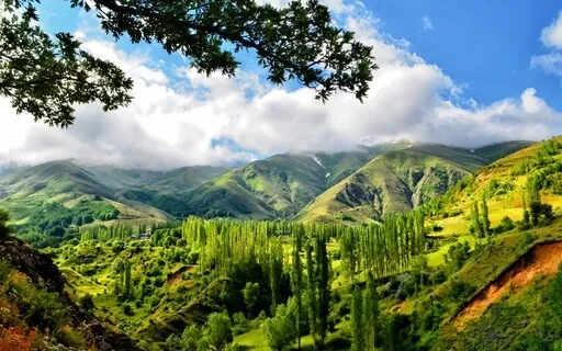 5D Journey - I Am Love, Wealth, Health, Prosperity Abundanc 