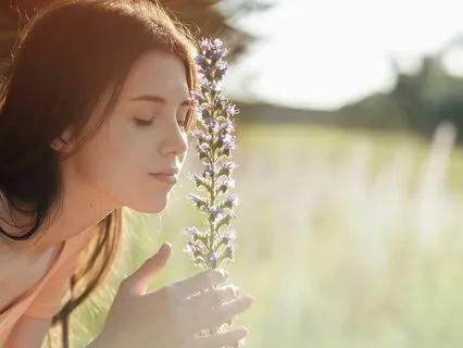 5D Light Tones – A Sprinkle Of Fairy Dust