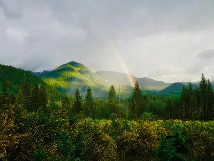 5 Minutes To Relax With Breath Awareness