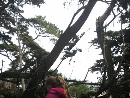 5-Minute Inner Child Meditation