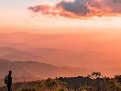 5-Organ Energy Cleanse Meditation