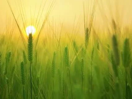 6 AM - Embrace The Day