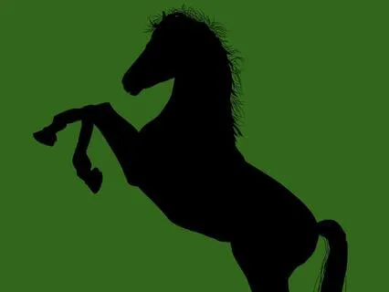 6 And 7 Black Beauty - Read By Stephanie Poppins