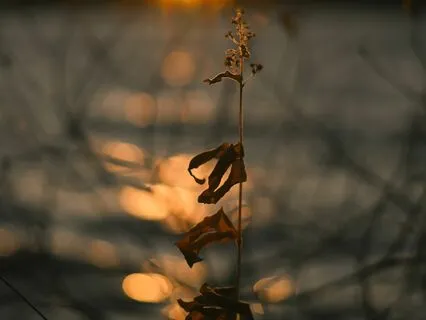 6 Healing Sounds Guided Breathwork