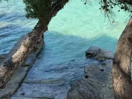 6-min Manifestation Meditation