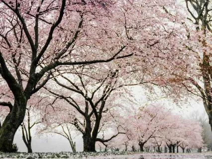 6 Min Meditation - Relief From Negative Thinking