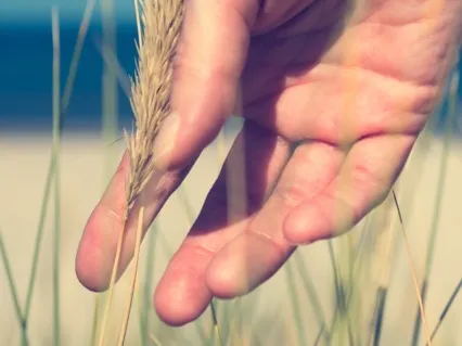 6-Min Mindfulness Of Senses Meditation Practice