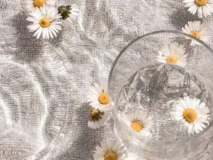 6 Min Uplifting Morning Meditation To Elevate Your Vibration