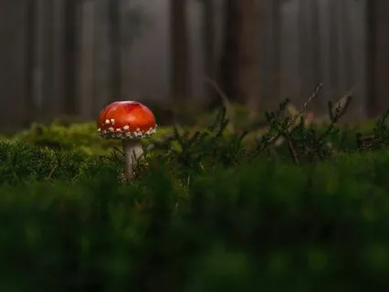 6-Minute Evening Grounding Practice