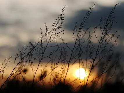 6 Minute Evening Joy Meditation