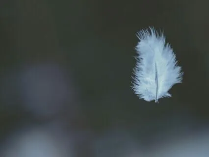 6-Minute Gentle Returning To Awareness Meditation