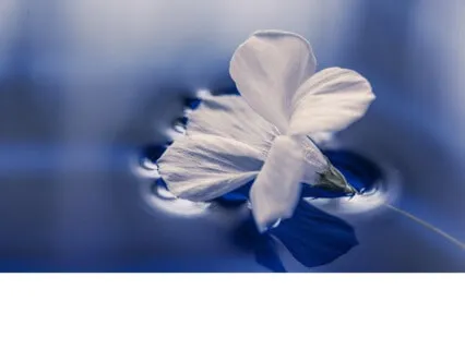 6 Minute Grounding Meditation For Emotional Regulation