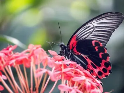 6-Minute Reflection On Permission