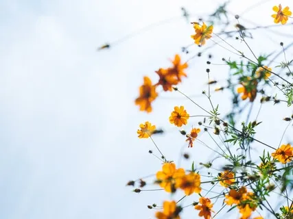 6-Minute Guided Meditation To Reset Your Energy