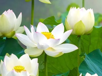 6 Minute Meditation For Productivity Guilt And Pressure