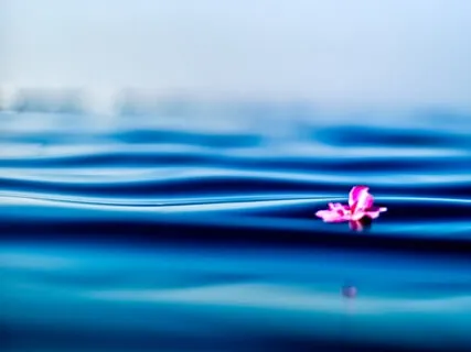 A 6-Minute Practice On Loving Kindness