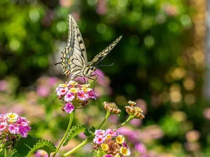 6 Minute Mid-Day Grace Meditation