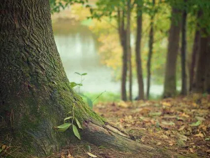 6-Minute Mid-Day Grounding Practice