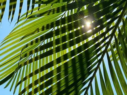 I Am Unstoppable: Affirmations For Tackling The Day