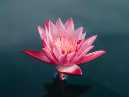 Mindful Breathing For Motivation