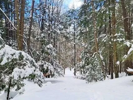 Explore Your Senses: Quick Mindfulness Practice