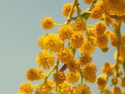 6-Minute Morning Gratitude Reset
