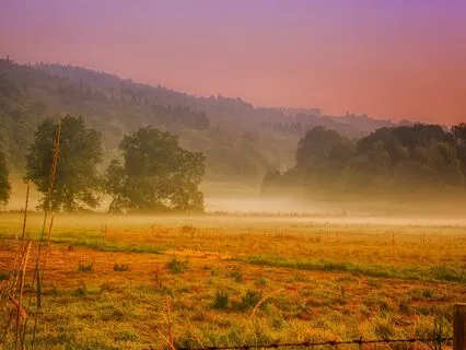 6-Minute Morning Grounding