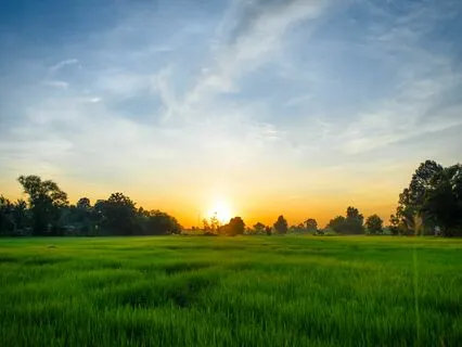 6-Minute Morning Peace Meditation Practice