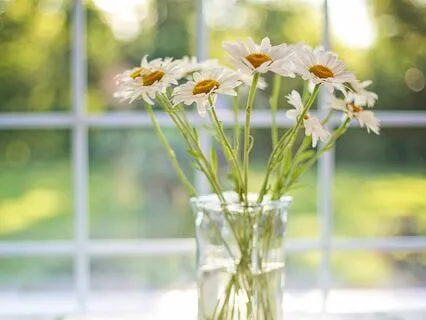 6-Minute Morning Permission To Be You Meditation Practice