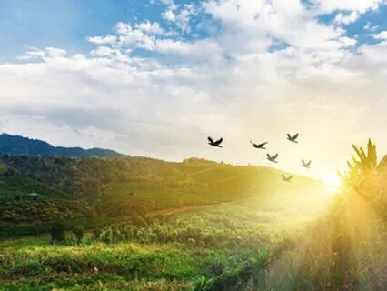 6 Minute Morning Practice