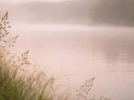 6-Minute Nervous System Reset