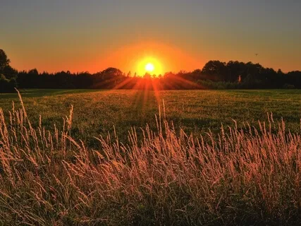 6-Minute Morning Singing Bowls