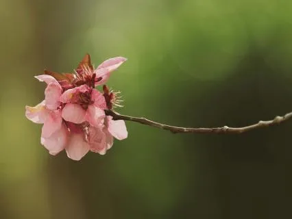 6 Minutes Anxiety Relief