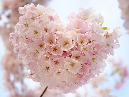 6 Minutes To Self Love Daily Affirmations