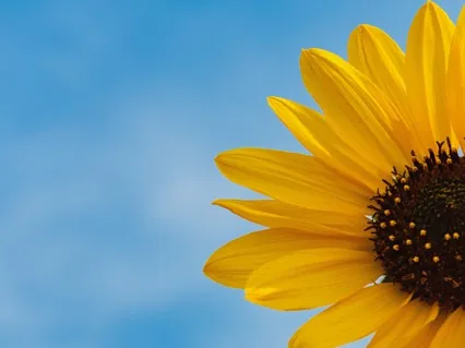 6 Minutes To Being Stress Free For Instant Relief