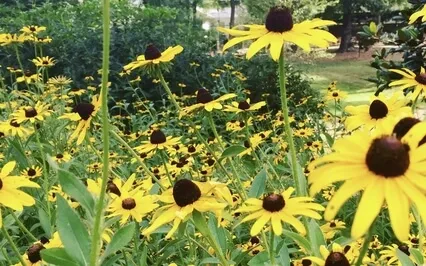 6 Minutes To Visualize Your Perfect Day