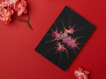 6. Objective: Set An Intention With A Finite Result