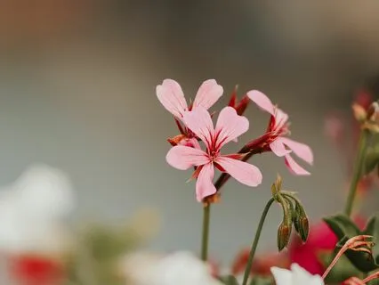 6 Phrases You Can Use To Set Healthy Boundaries