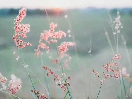 6 Qigong Healing Sounds For Emotional Balance