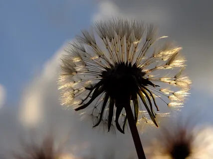 6/10 Trusting The Spiral Of The Work That Reconnects