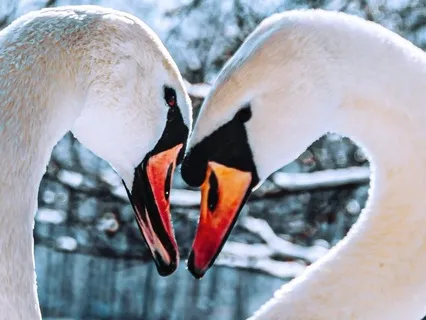 6.With Every Breath, I Return To Love: The Heart's Awakening