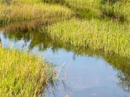 #60 : Contemplating Limitations : I Ching Wisdom
