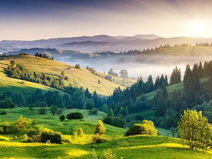 60-Minute Guided Walking Meditation 