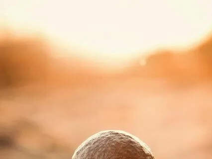 60 Minute ZenFlow: Harmonize Your Mind - Focus Music