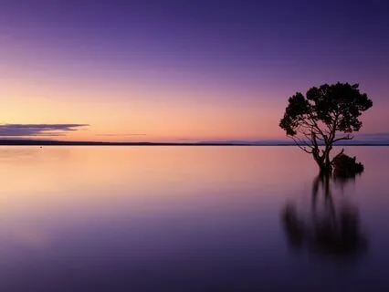 60 Minutes Of Pure Relaxation