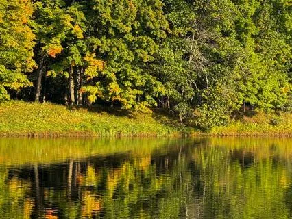 60 Second Calming Session