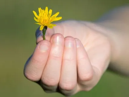 60-Second Gratitude Meditation