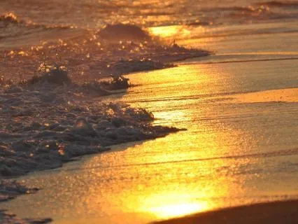 60-Second Ocean Whispers - For Peace & Belonging